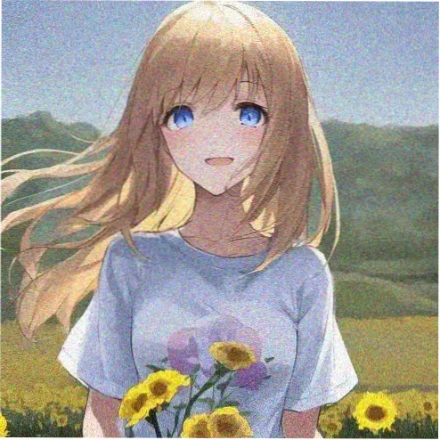 user